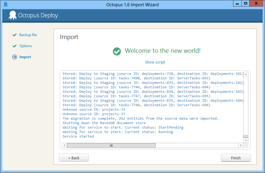 The import process output window