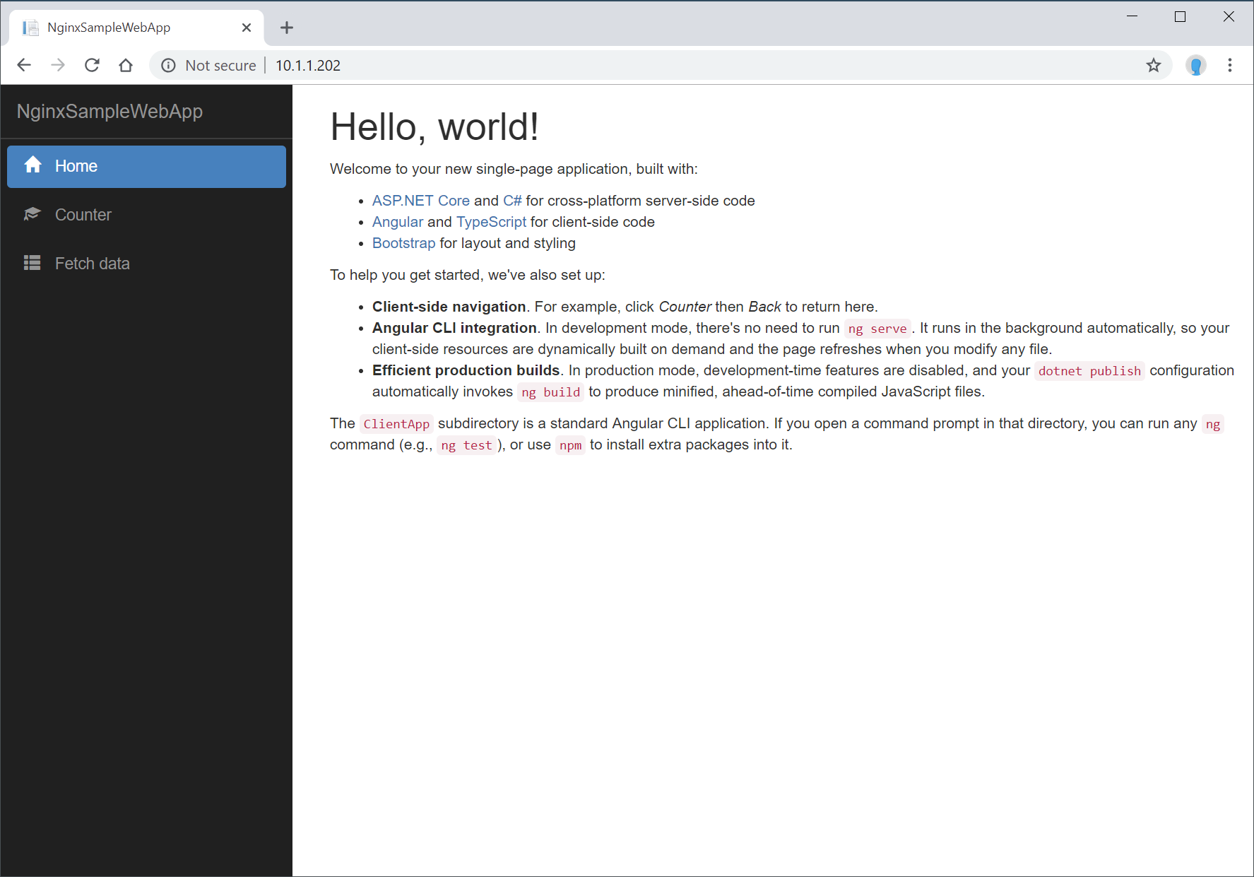 The deployed AngularJS application served by NGINX