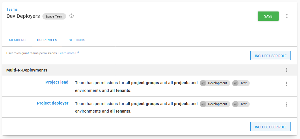A team scoped to specific projects and environments